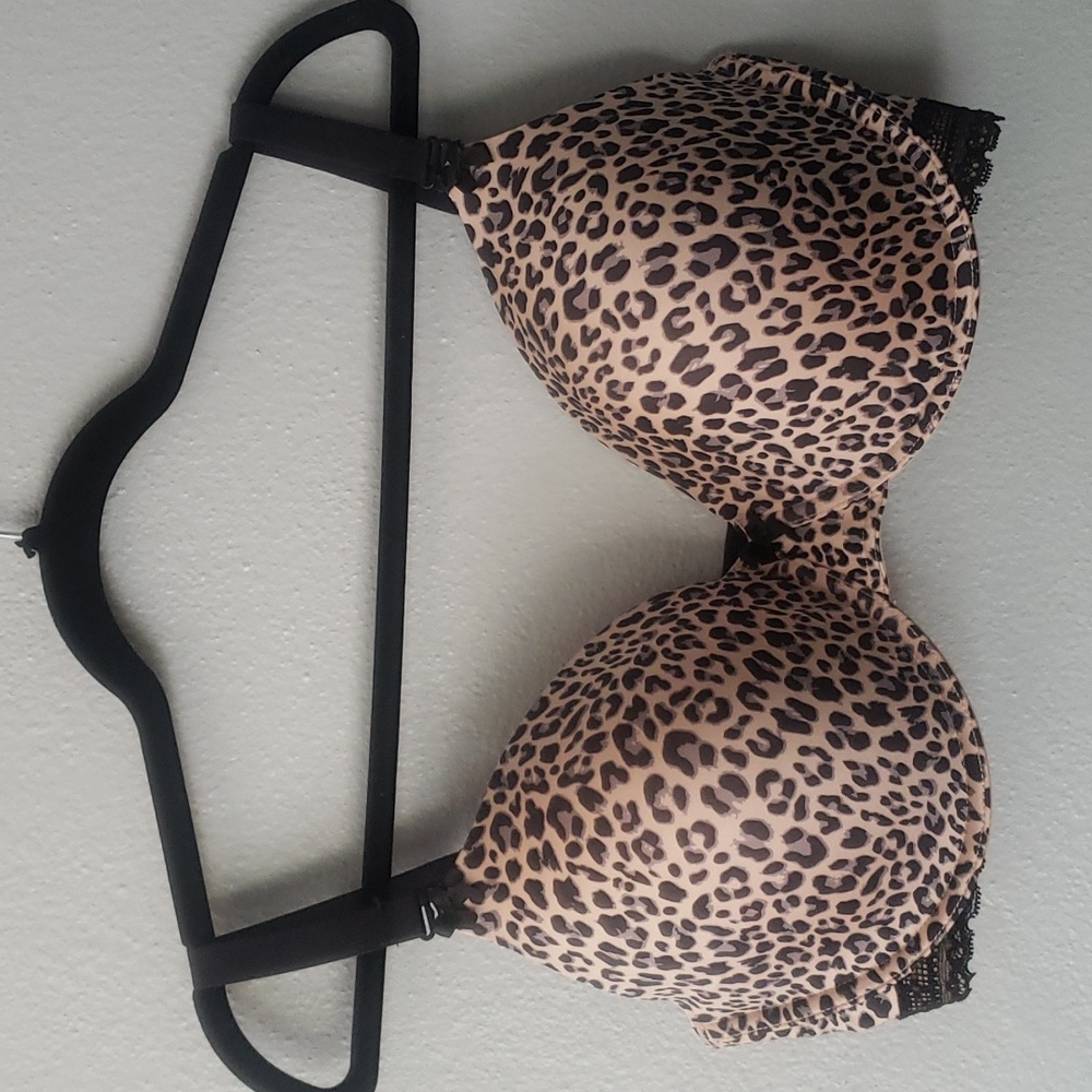 Paramour bra